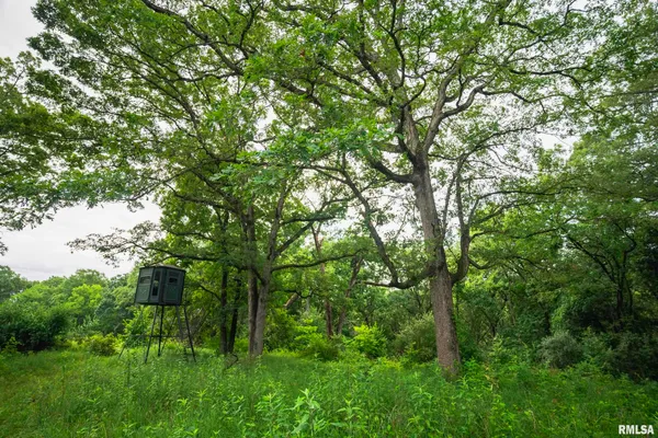 $1,800,000 | 545 East Tarters Ferry Lane, Table Grove, IL 61482