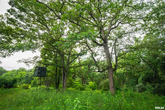 $1,990,000 | 545 East Tarters Ferry Lane, Table Grove, IL 61482