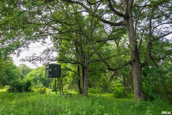 $1,800,000 | 545 East Tarters Ferry Lane, Table Grove, IL 61482