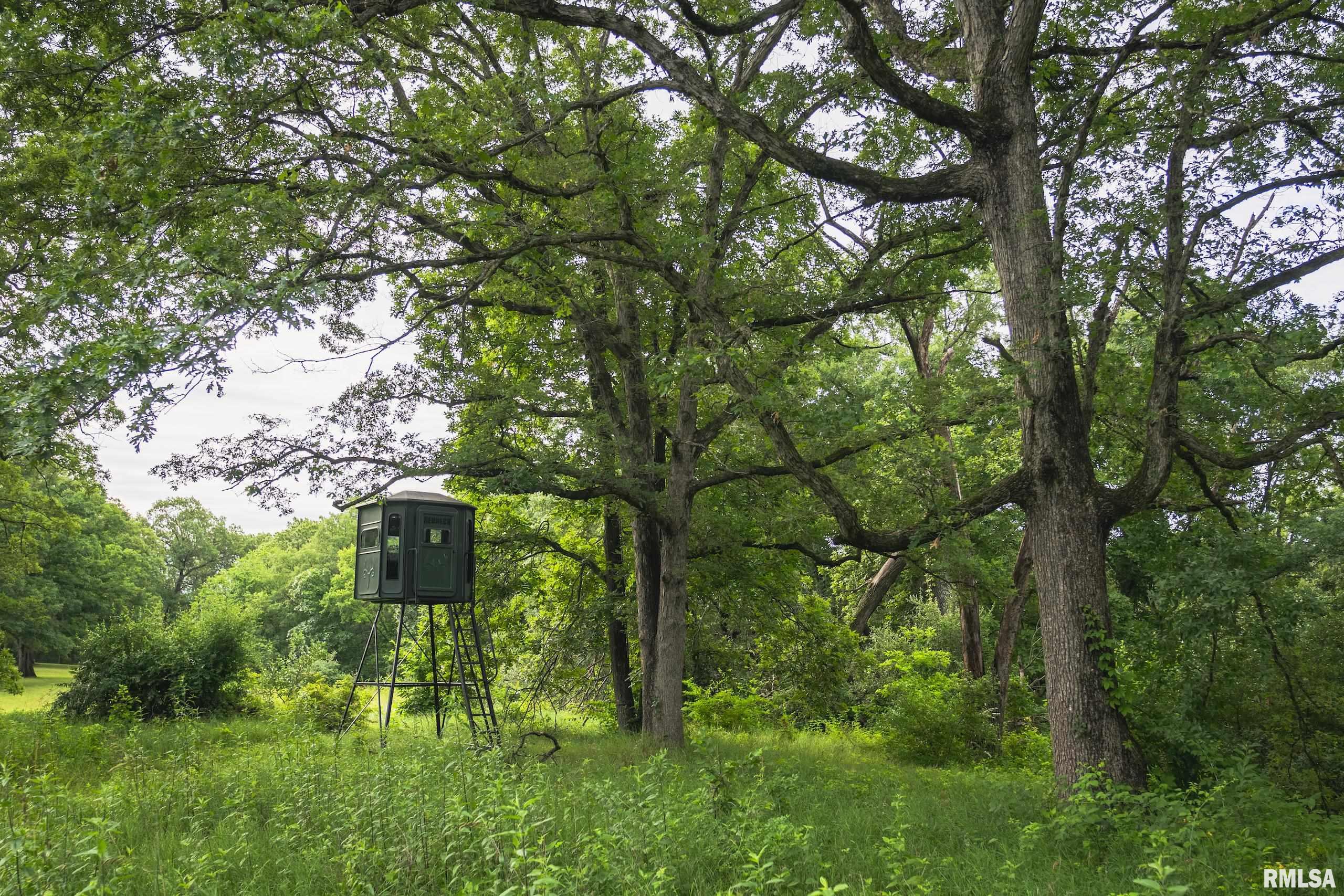 545 East Tarters Ferry Lane Table Grove, IL 61482 - Photo 9 of 99