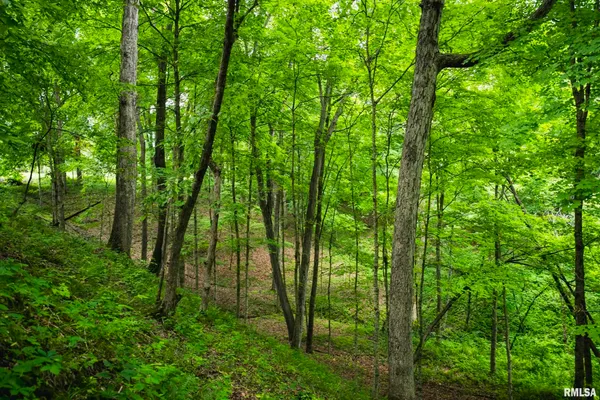 $1,800,000 | 545 East Tarters Ferry Lane, Table Grove, IL 61482