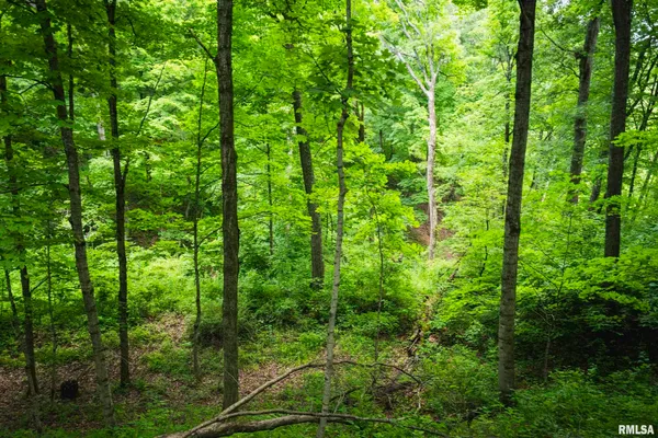 $1,800,000 | 545 East Tarters Ferry Lane, Table Grove, IL 61482