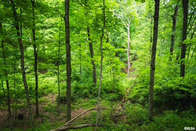 $1,990,000 | 545 East Tarters Ferry Lane, Table Grove, IL 61482