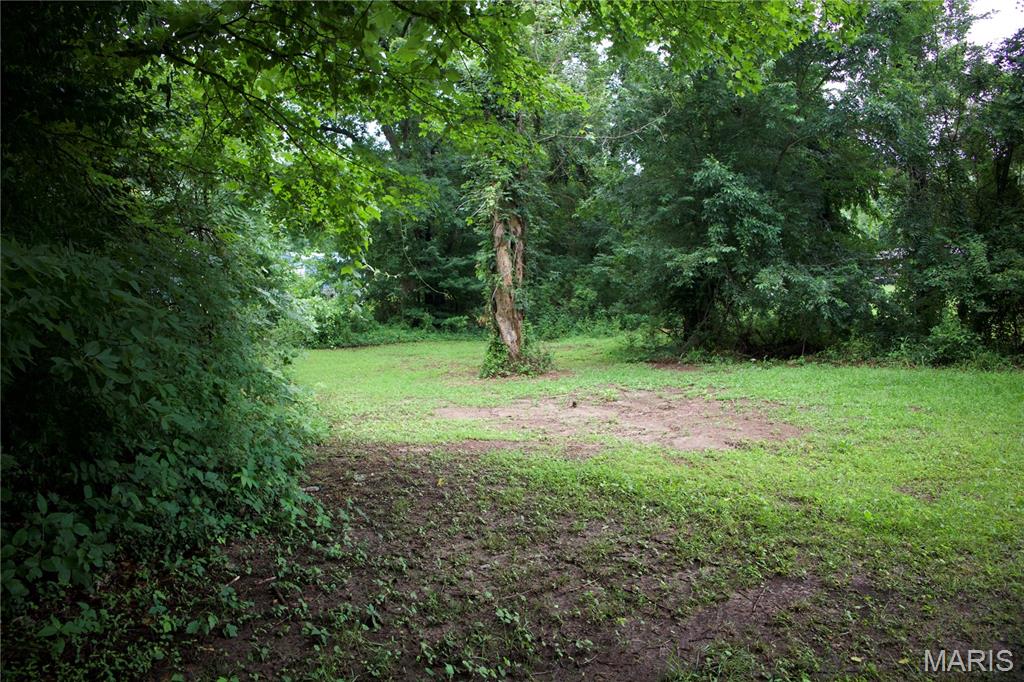0 Ponderosa Road Chaffee, MO 63740 - Photo 3 of 8