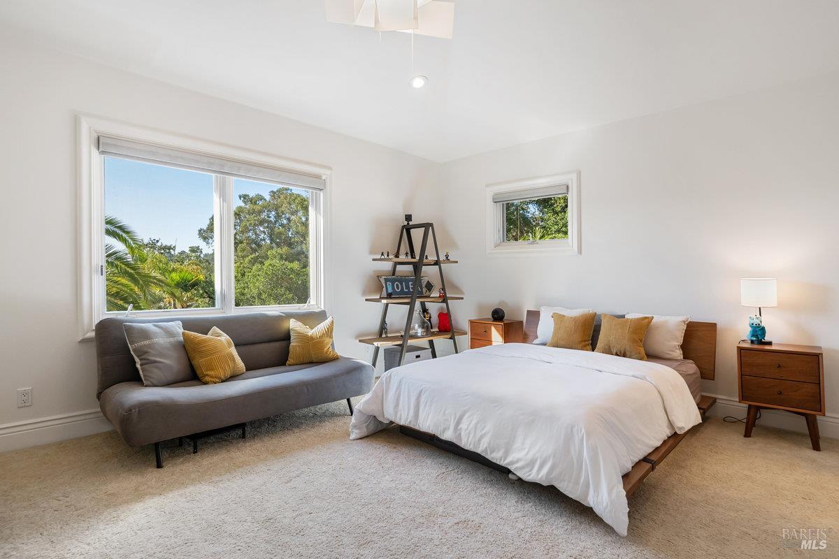 220 Deer Park Avenue San Rafael, CA 94901 - Photo 29 of 64