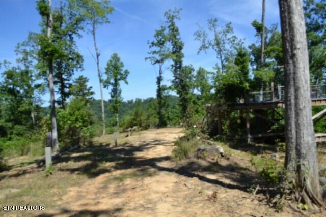 9.85-ac Rock Springs Road Celina, TN 38551 - Photo 3 of 48 DSC_0003