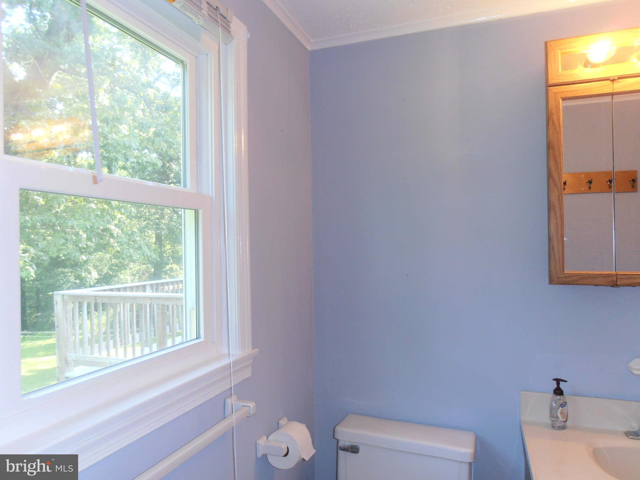 16026 Trenton Road Upperco, MD 21155 - Photo 17 of 27 Bath (Master)