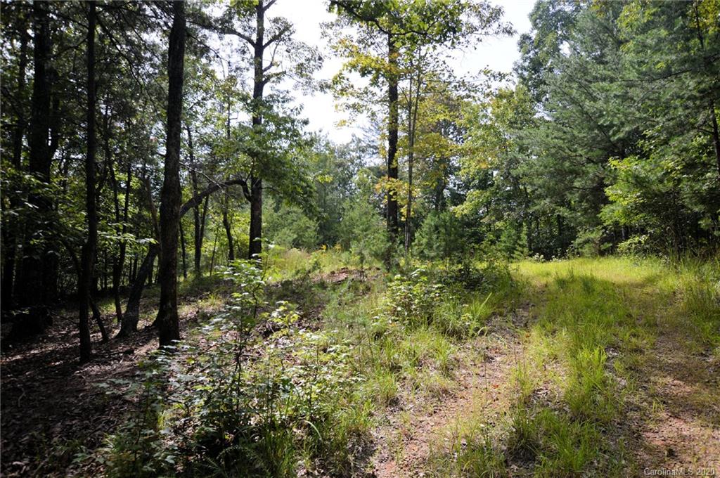 0 River Knoll Way, Unit 4 Tryon, NC 28782 - Photo 1 of 8