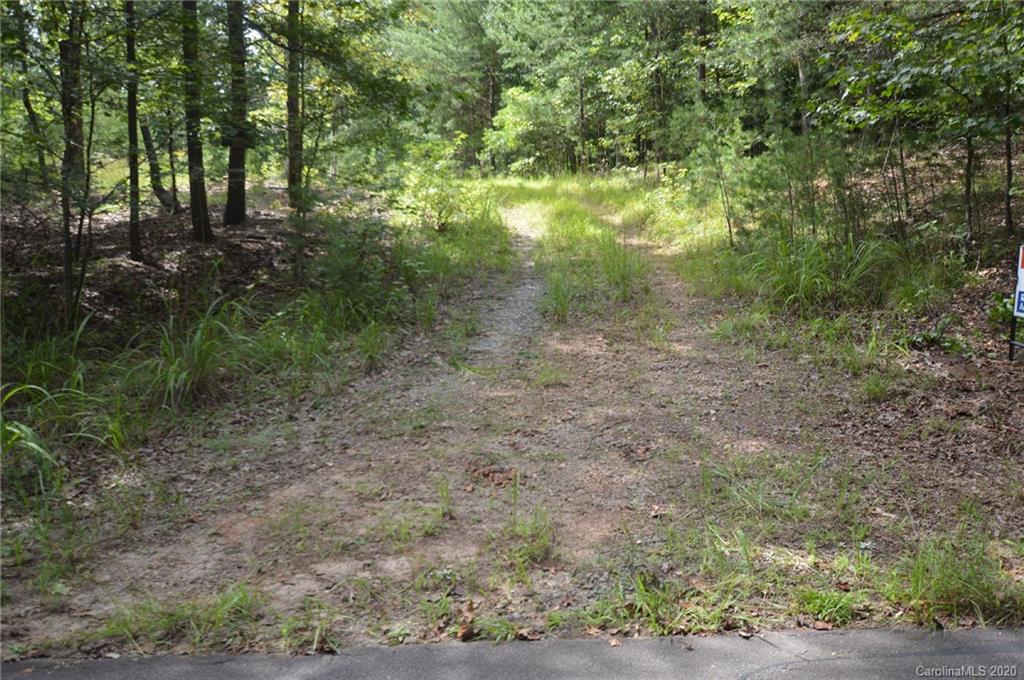 0 River Knoll Way, Unit 4 Tryon, NC 28782 - Photo 2 of 8