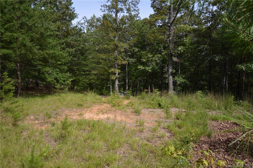0 River Knoll Way, Unit 4 Tryon, NC 28782 - Photo 5 of 8