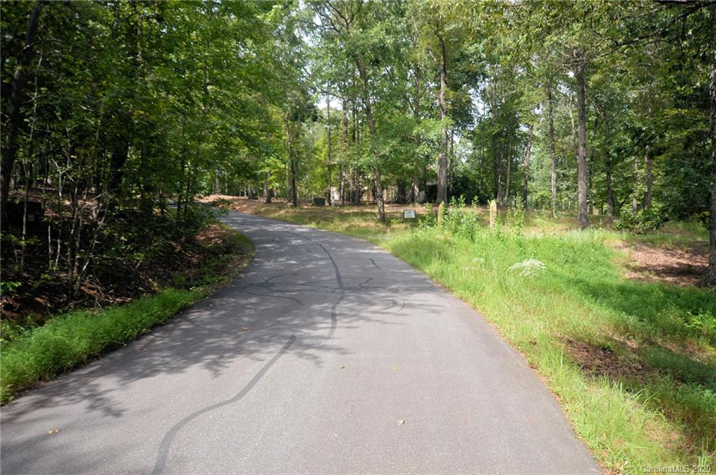 0 River Knoll Way, Unit 4 Tryon, NC 28782 - Photo 7 of 8