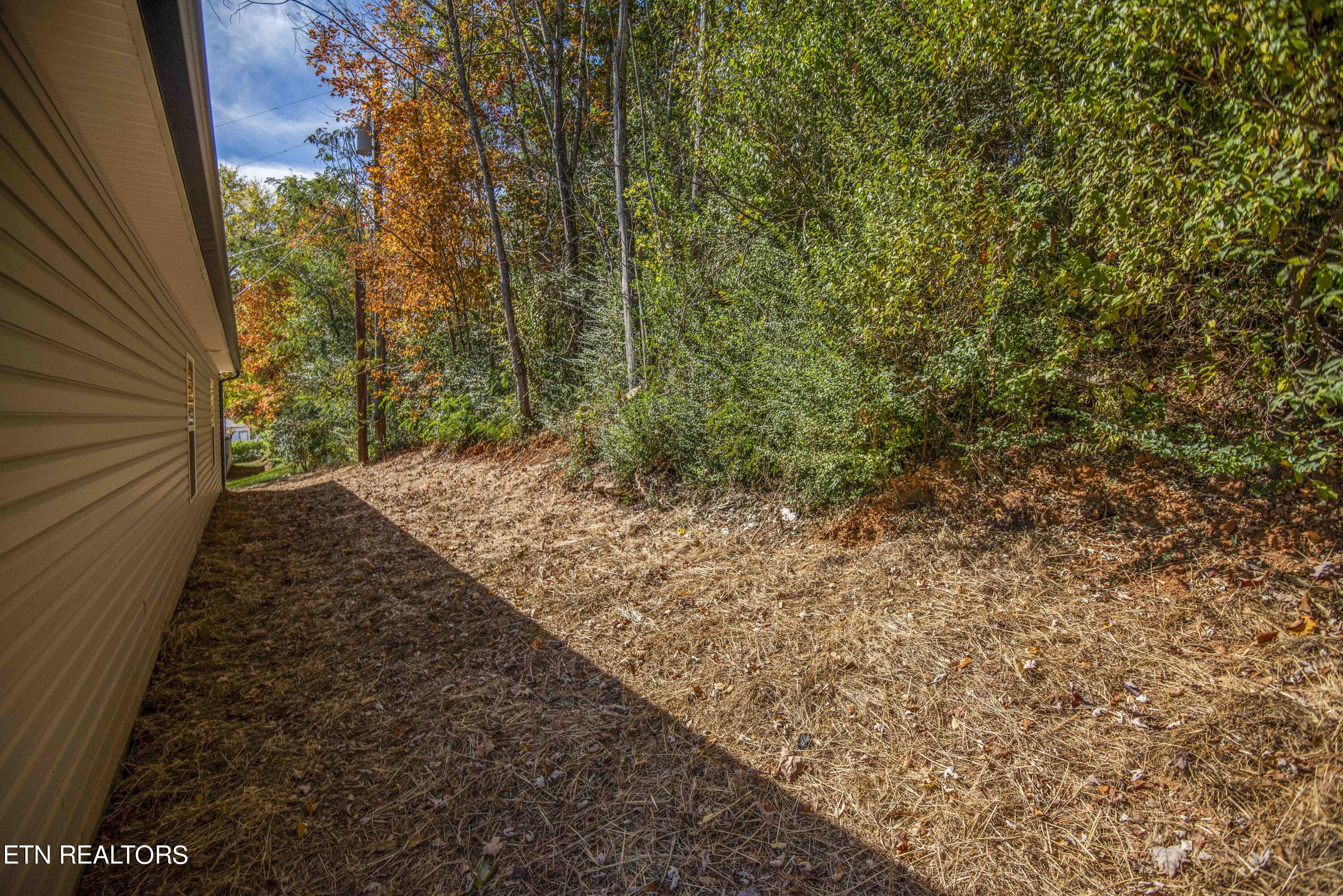219 Offutt Road Clinton, TN 37716 - Photo 41 of 43 yard 3_1