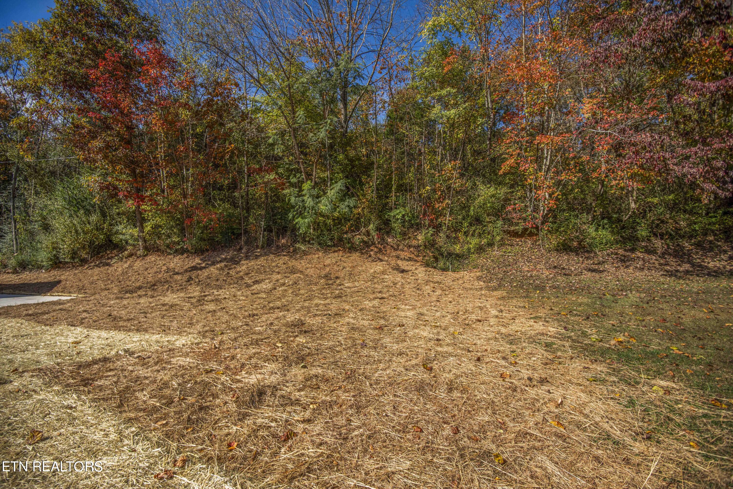 219 Offutt Road Clinton, TN 37716 - Photo 42 of 43 yard 1_1
