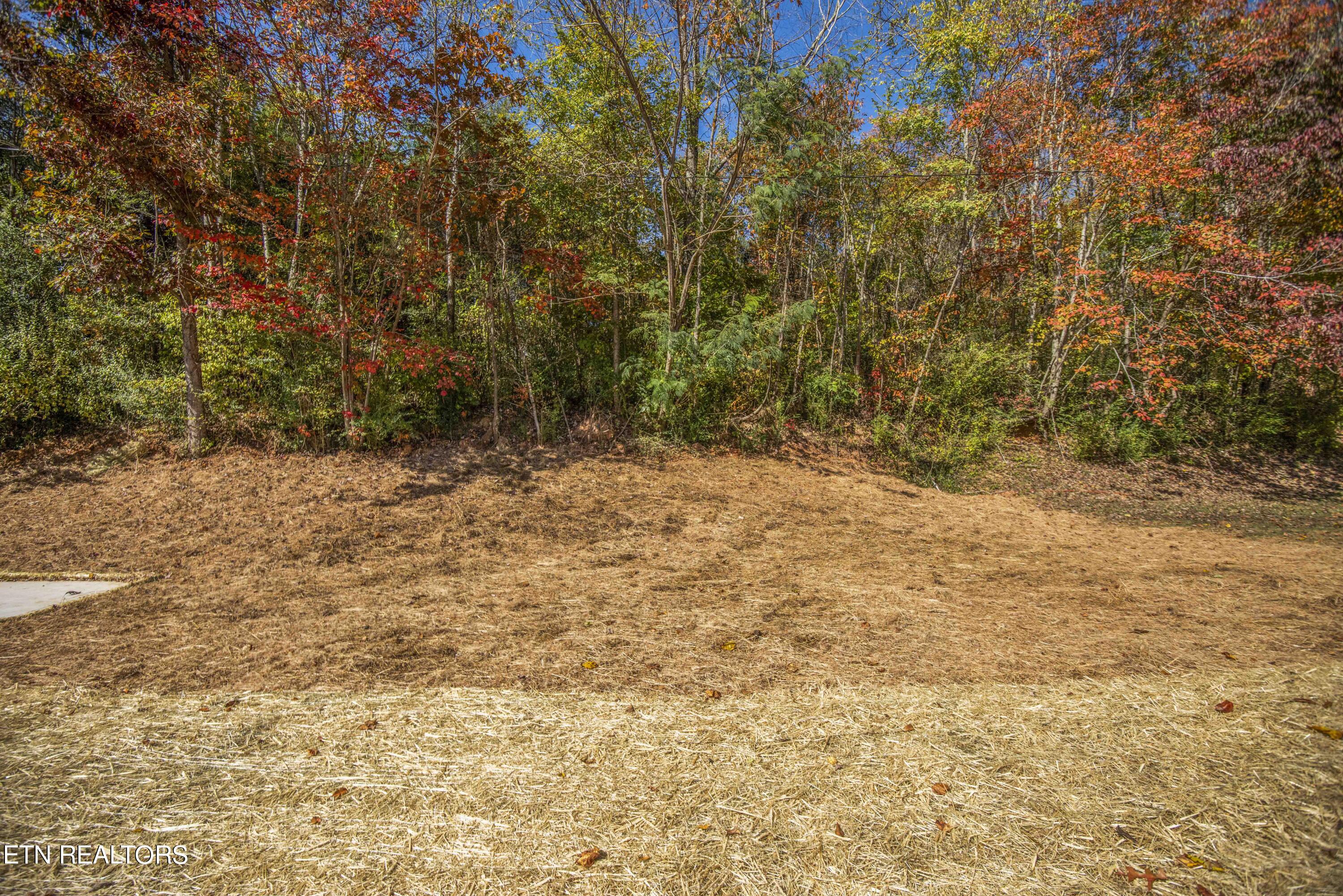 219 Offutt Road Clinton, TN 37716 - Photo 43 of 43 yard_1