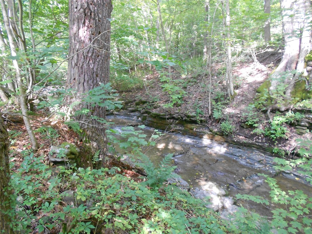 507 Mix Road Chenango Forks, NY 13746 - Photo 28 of 34 Gallery Image 28