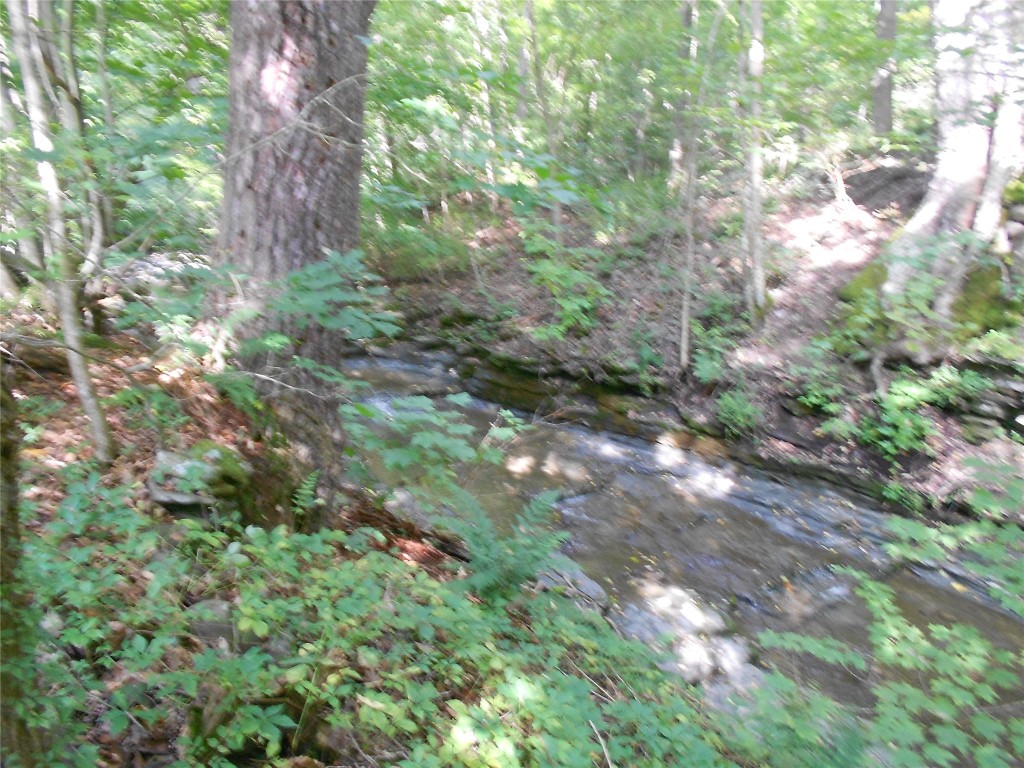 507 Mix Road Chenango Forks, NY 13746 - Photo 29 of 34 Gallery Image 29