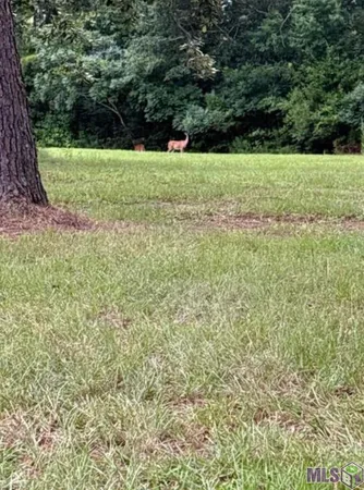 $99,500 | 22 Springfield La, Springfield, LA 70462