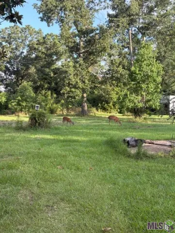 $99,975 | 22 Springfield La, Springfield, LA 70462