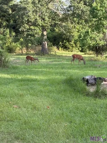 $99,975 | 22 Springfield La, Springfield, LA 70462