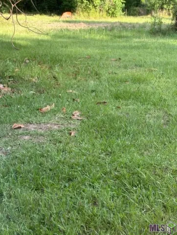 $99,975 | 22 Springfield La, Springfield, LA 70462