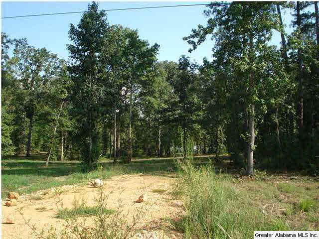 Armstrong Road, Unit 4 Cedar Bluff, AL 35959 - Photo 4 of 7