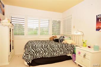 2 Rutherford Lane Town and Country, MO 63131 - Photo 20 of 28