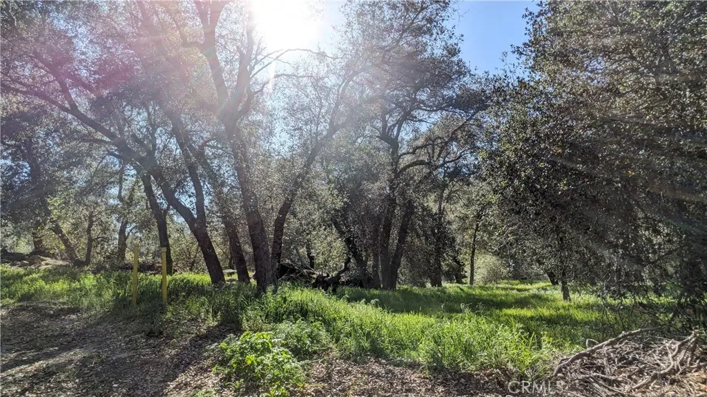 0 Cryer Banning, CA 92220 - Photo 3 of 5 Wide Rear angle of lot
