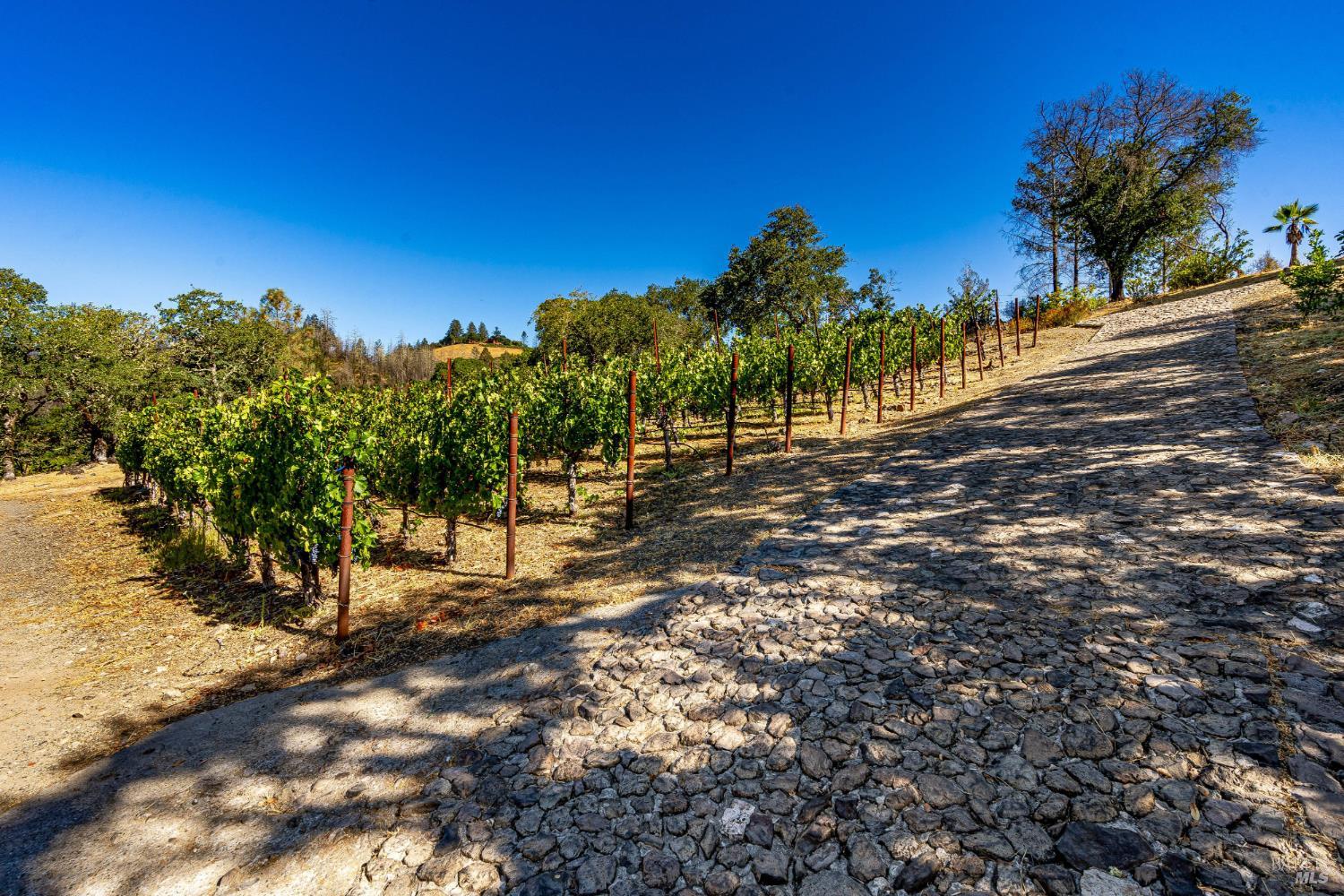 2910 Spring Mountain Road St. Helena, CA 94574 - Photo 6 of 8