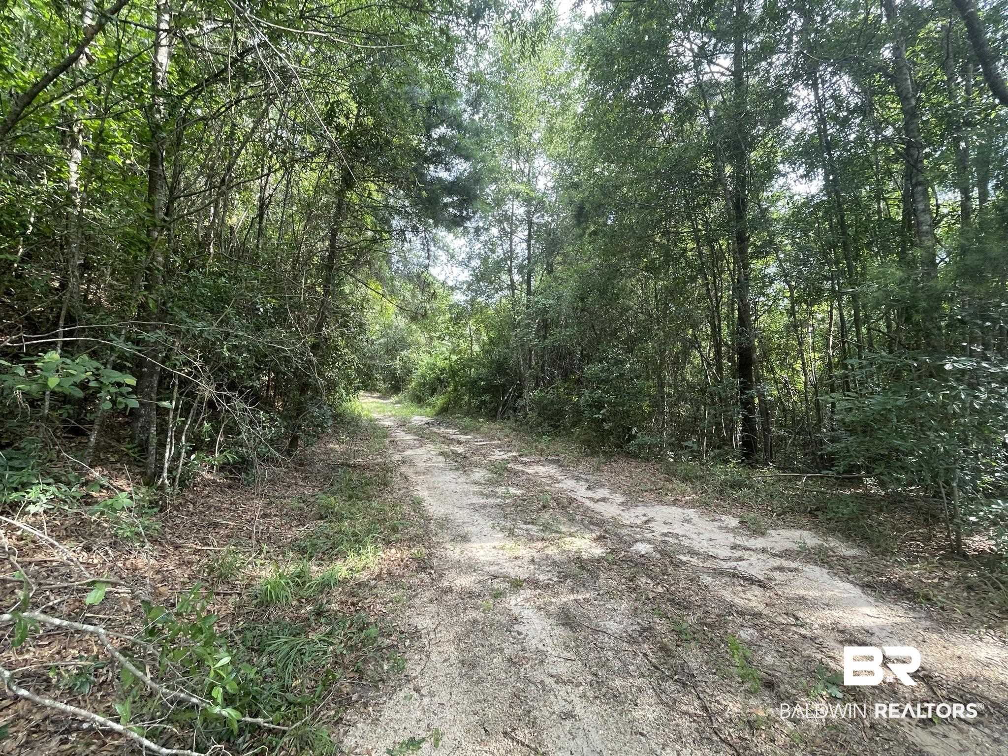 1 Highway 4 Jay, FL 32565 - Photo 39 of 50