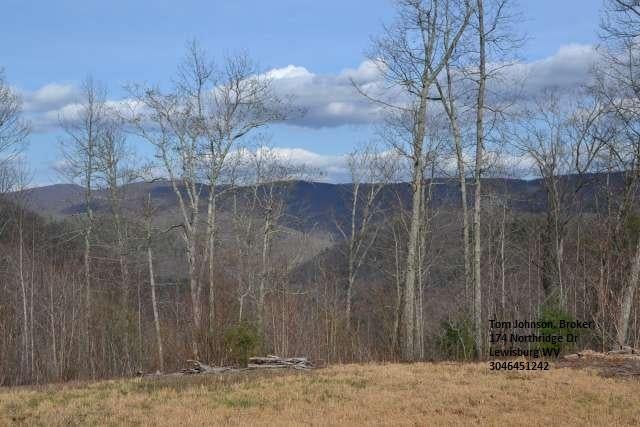 204 Brush Road Lewisburg, WV 24901 - Photo 1 of 60 Gallery Image 1