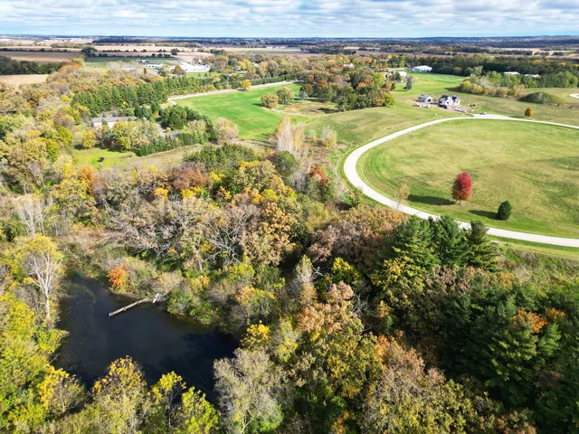 a view of a swimming pool with a lot of plants and trees
