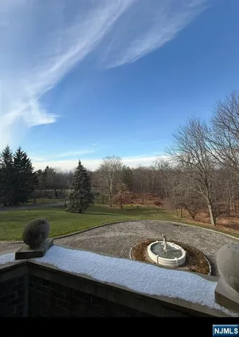 a view of a park with large trees