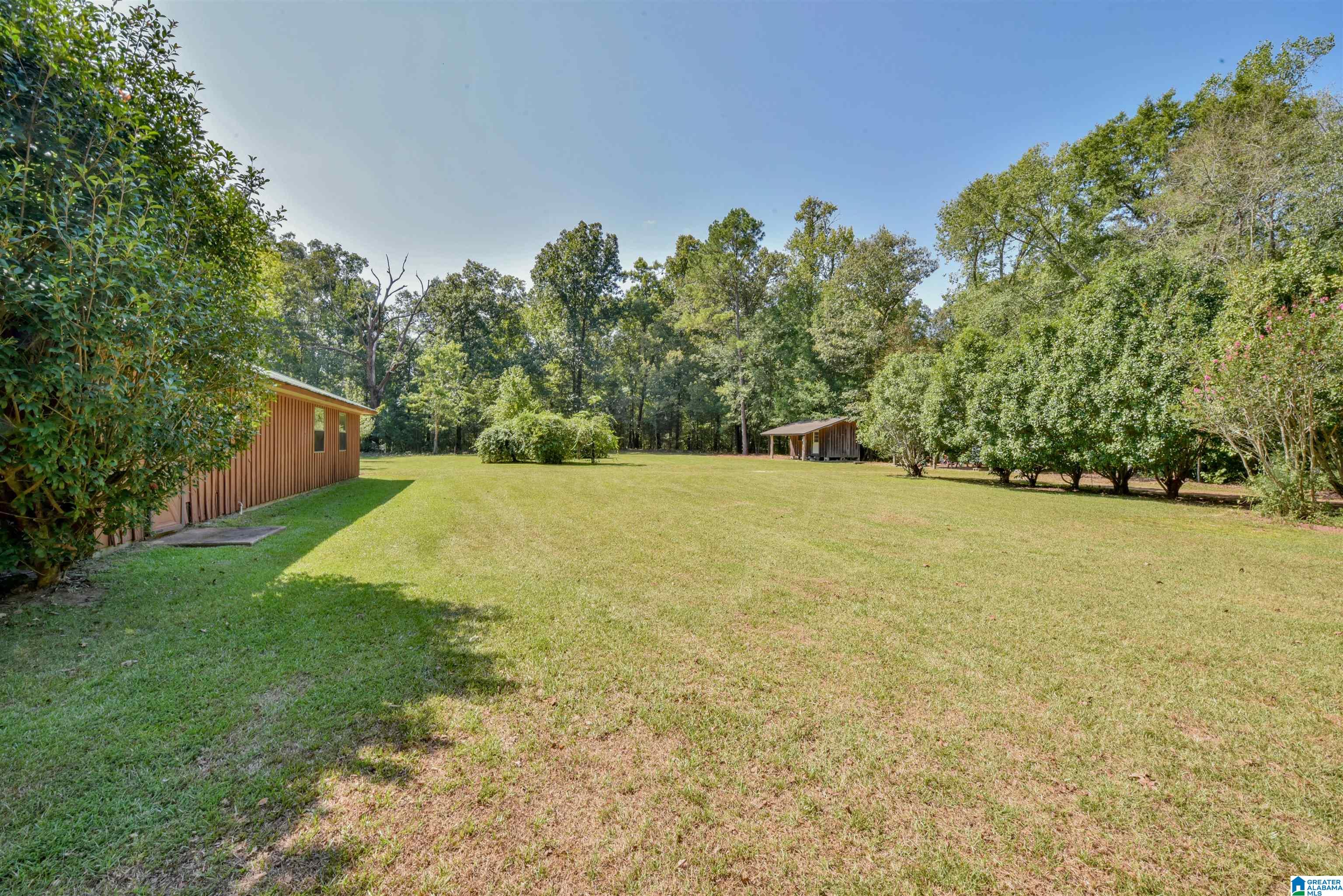 1095 Forkland Park Road Forkland, AL 36740 - Photo 37 of 45