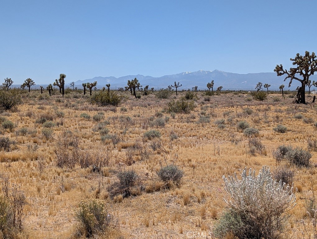 0 Vintage Parcel Road, Unit 45812663 Adelanto, CA 92301 - Photo 7 of 8 view to the southwest