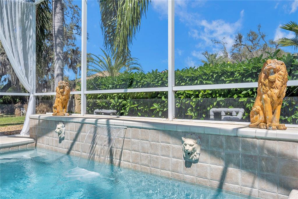 11747 Manistique Way New Port Richey, FL 34654 - Photo 59 of 72 Gallery Image 59