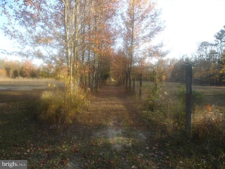 16 Betts Road Delmont, NJ 08314 - Photo 6 of 25 View in Back