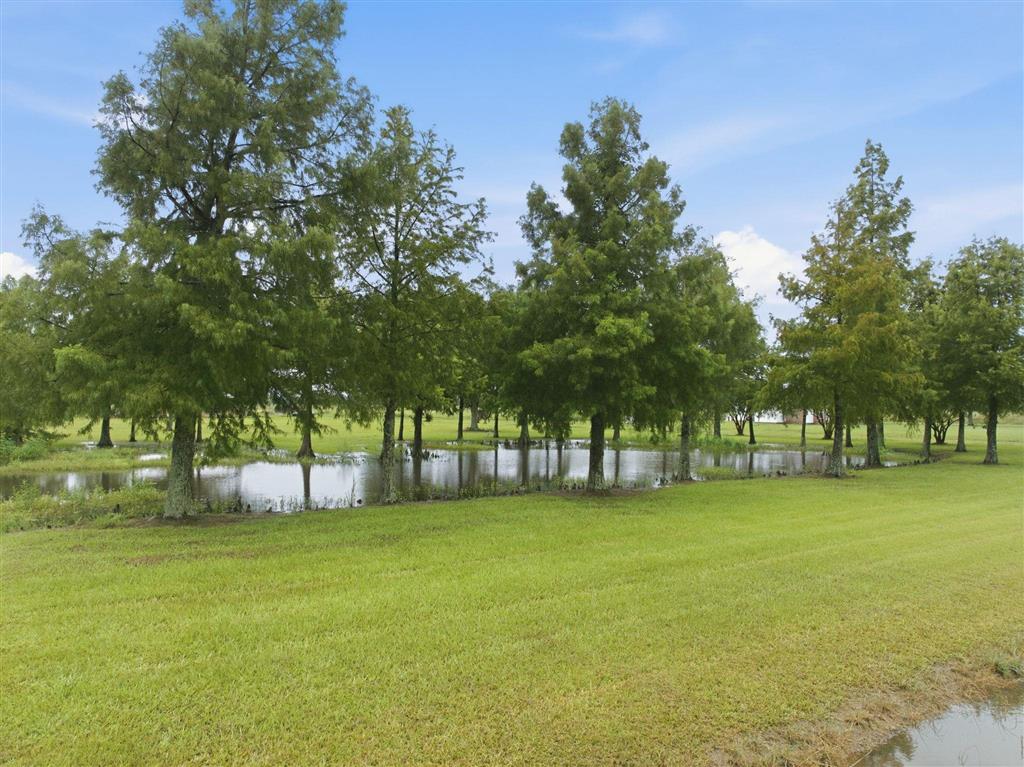 12135 Pousson Road Iowa, LA 70647 - Photo 2 of 15