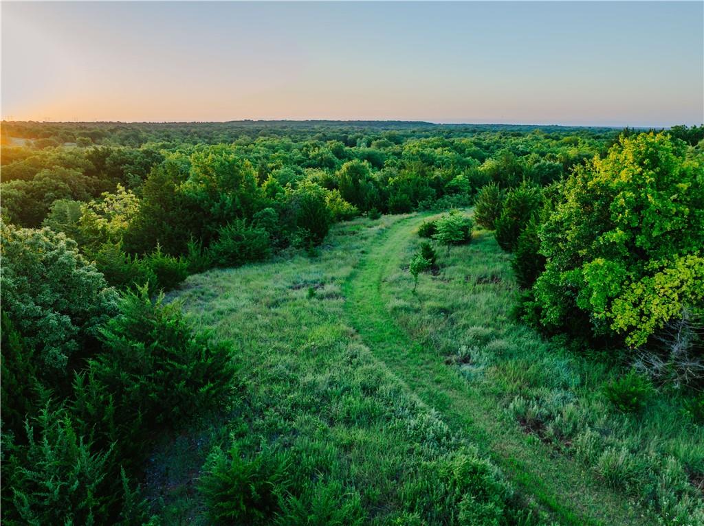 42629 South 34200 Road Pawnee, OK 74058 - Photo 64 of 99