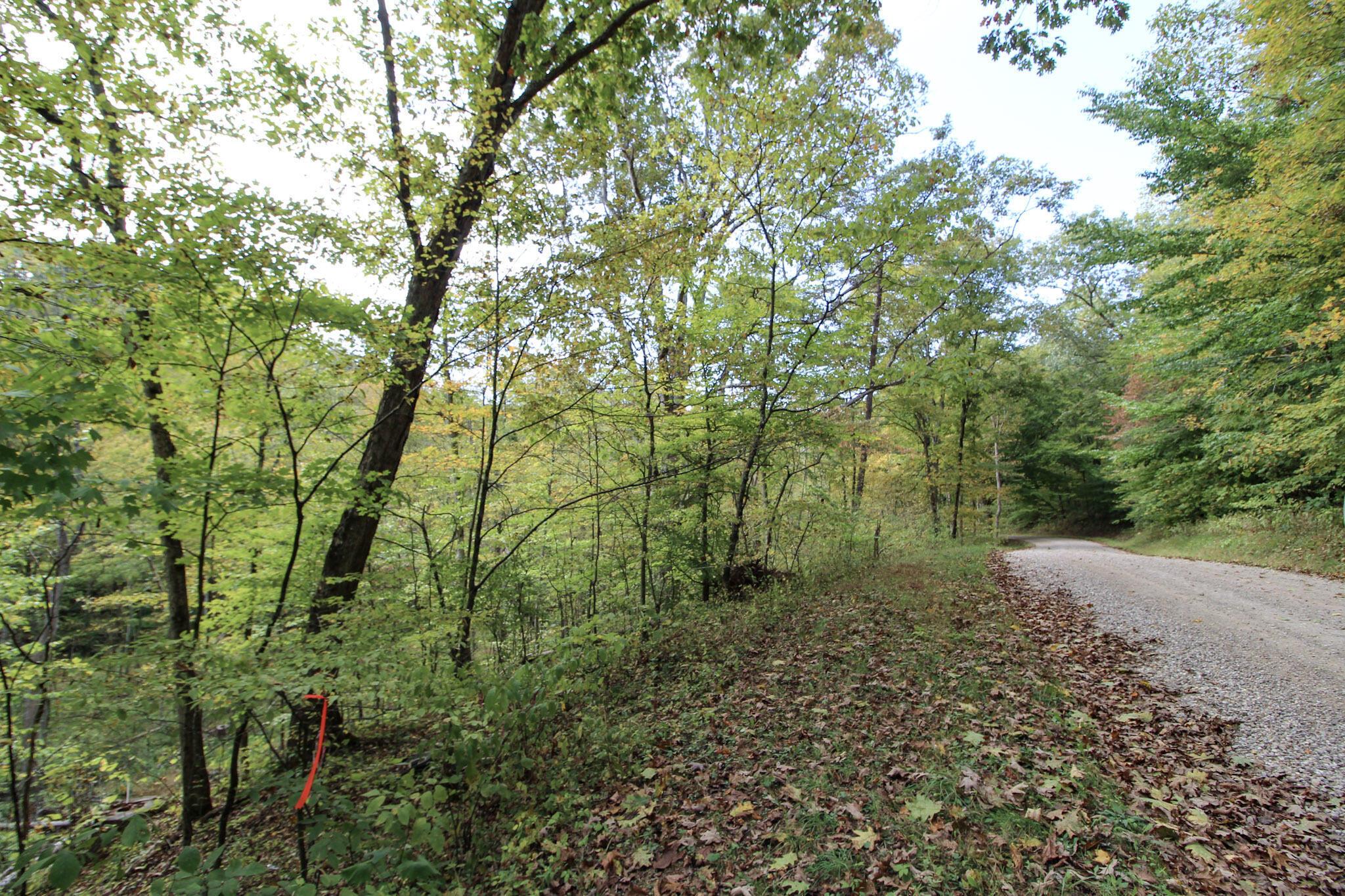 0 Cow Run Road Marietta, OH 45750 - Photo 3 of 17 2-IMG_9096