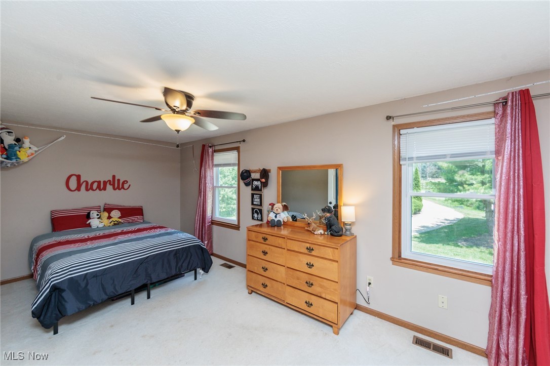 4632 West Britton Road Burbank, OH 44214 - Photo 22 of 49 Gallery Image 22