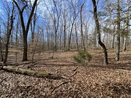 $360,000 | 7119 Old Cox Pike, Fairview, TN 37062