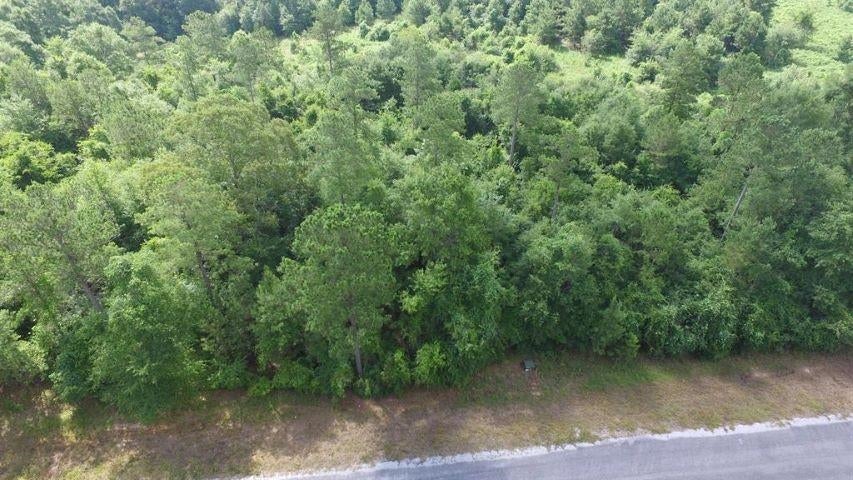 Lot 39 Meadow Lane Road Brewton, AL 36426 - Photo 5 of 6 Gallery Image 5