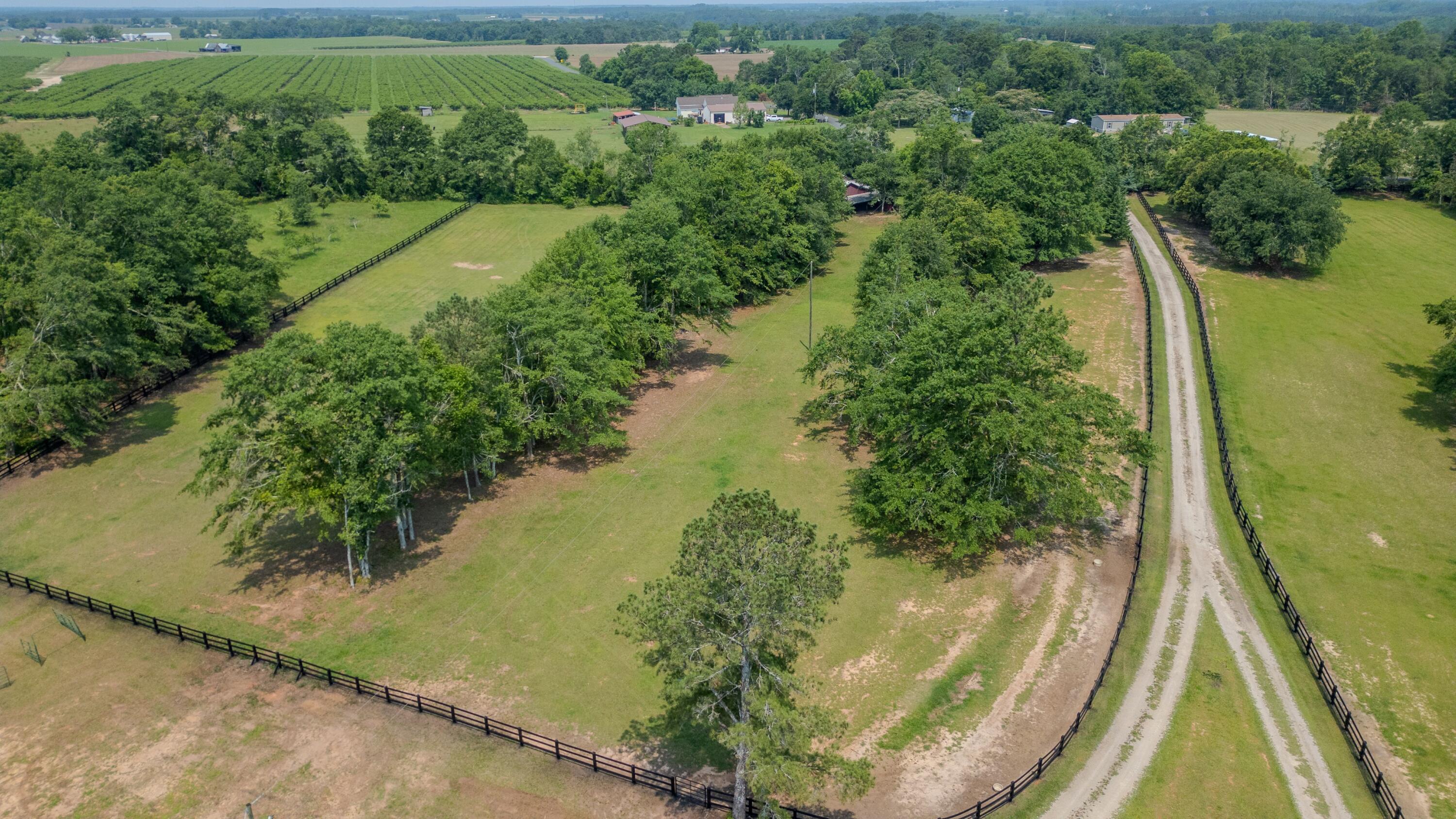 148 Derrick Road Trenton, SC 29847 - Photo 53 of 58