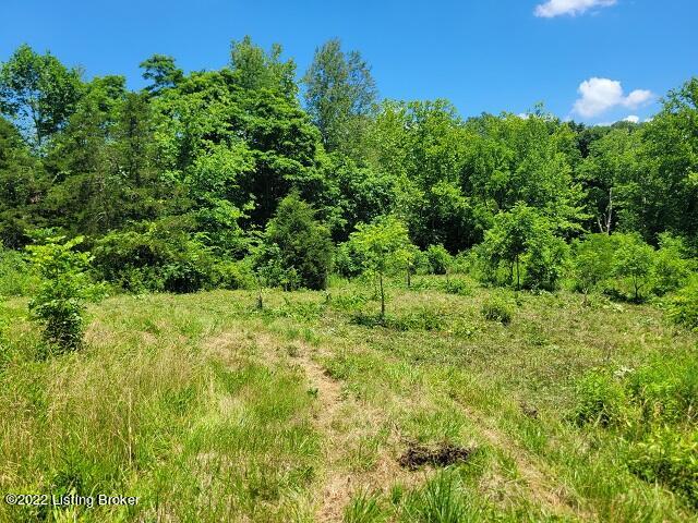 13240 Georgetown Road Owenton, KY 40359 - Photo 3 of 16 3