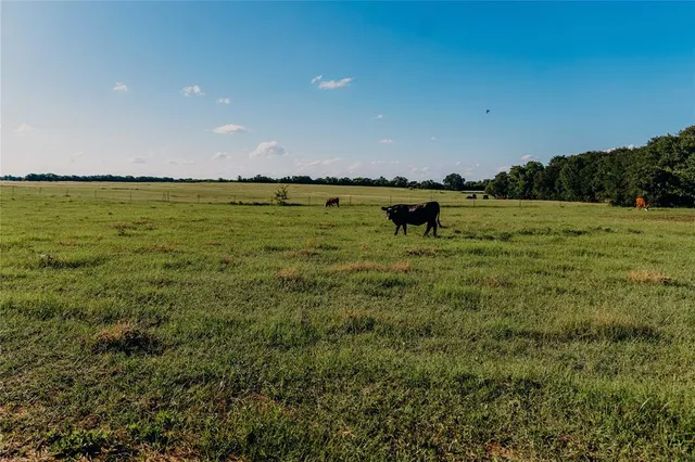 a view of a lake with a mountain