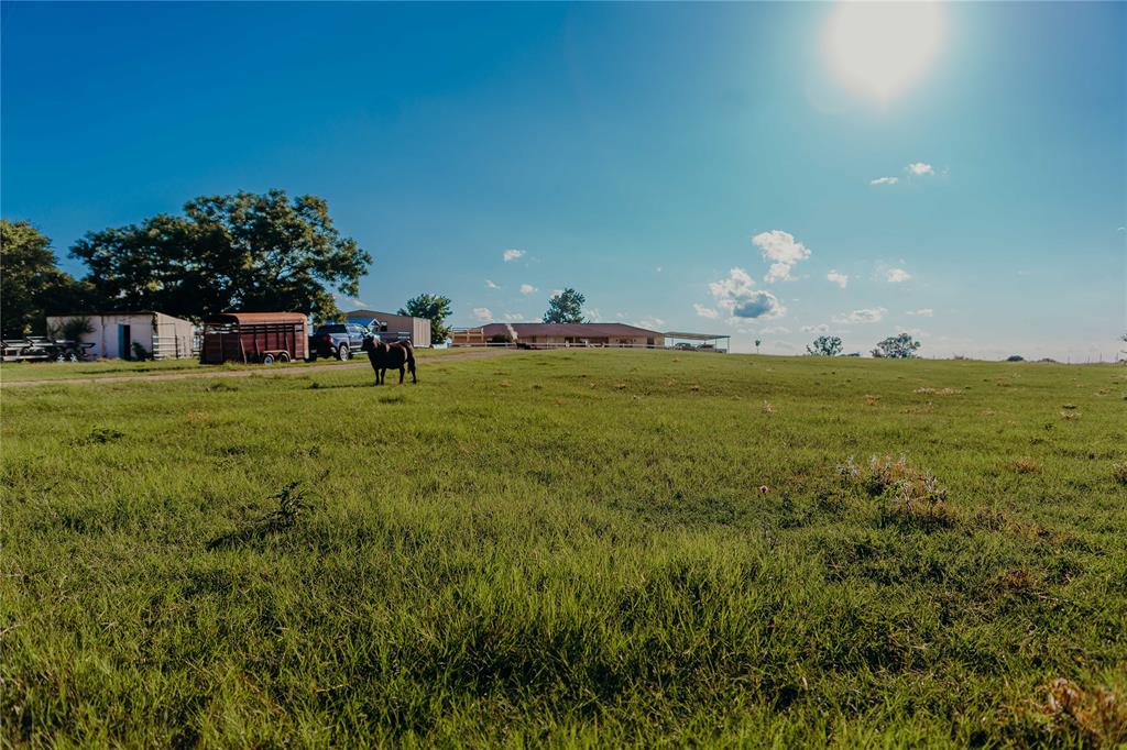 1740 Highway 2247 Comanche, TX 76442 - Photo 35 of 38 View of grassy yard featuring a view of rural / pastoral area