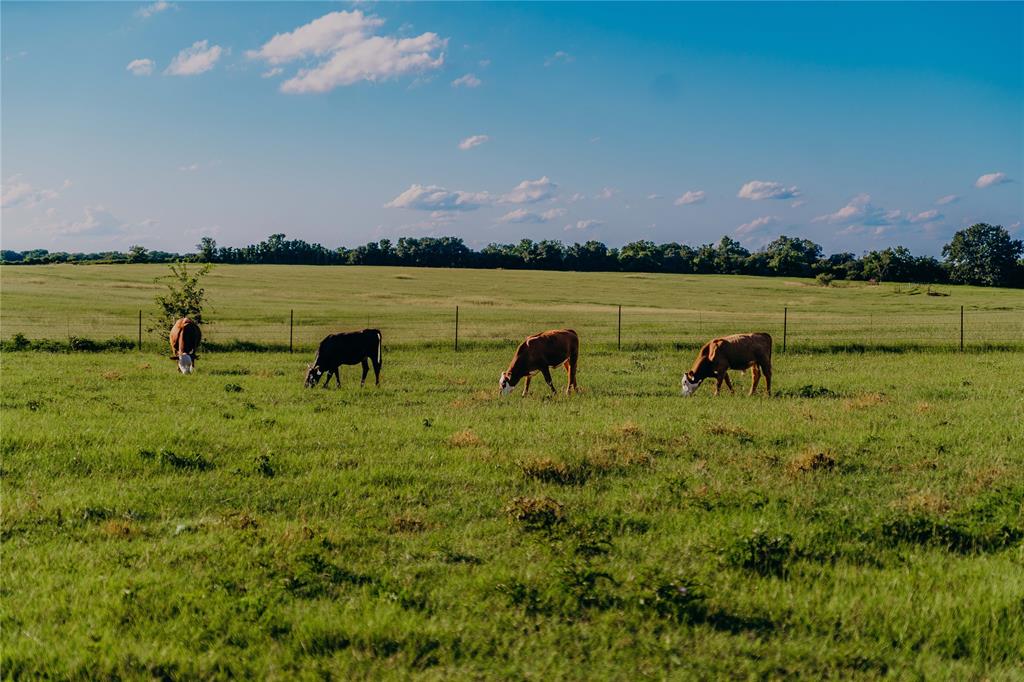1740 Highway 2247 Comanche, TX 76442 - Photo 37 of 38 View of yard with a view of countryside