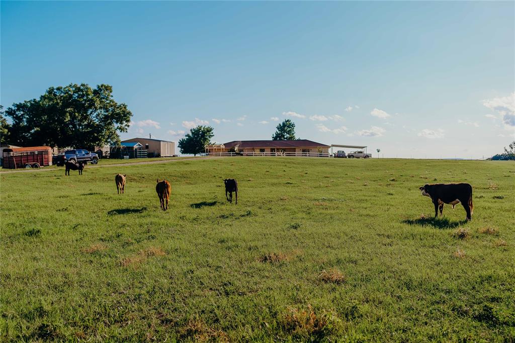 1740 Highway 2247 Comanche, TX 76442 - Photo 38 of 38 View of yard with a rural view