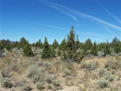 0 Southeast Cree Road Prineville, OR 97754 - Photo 6 of 6 Additional Photo