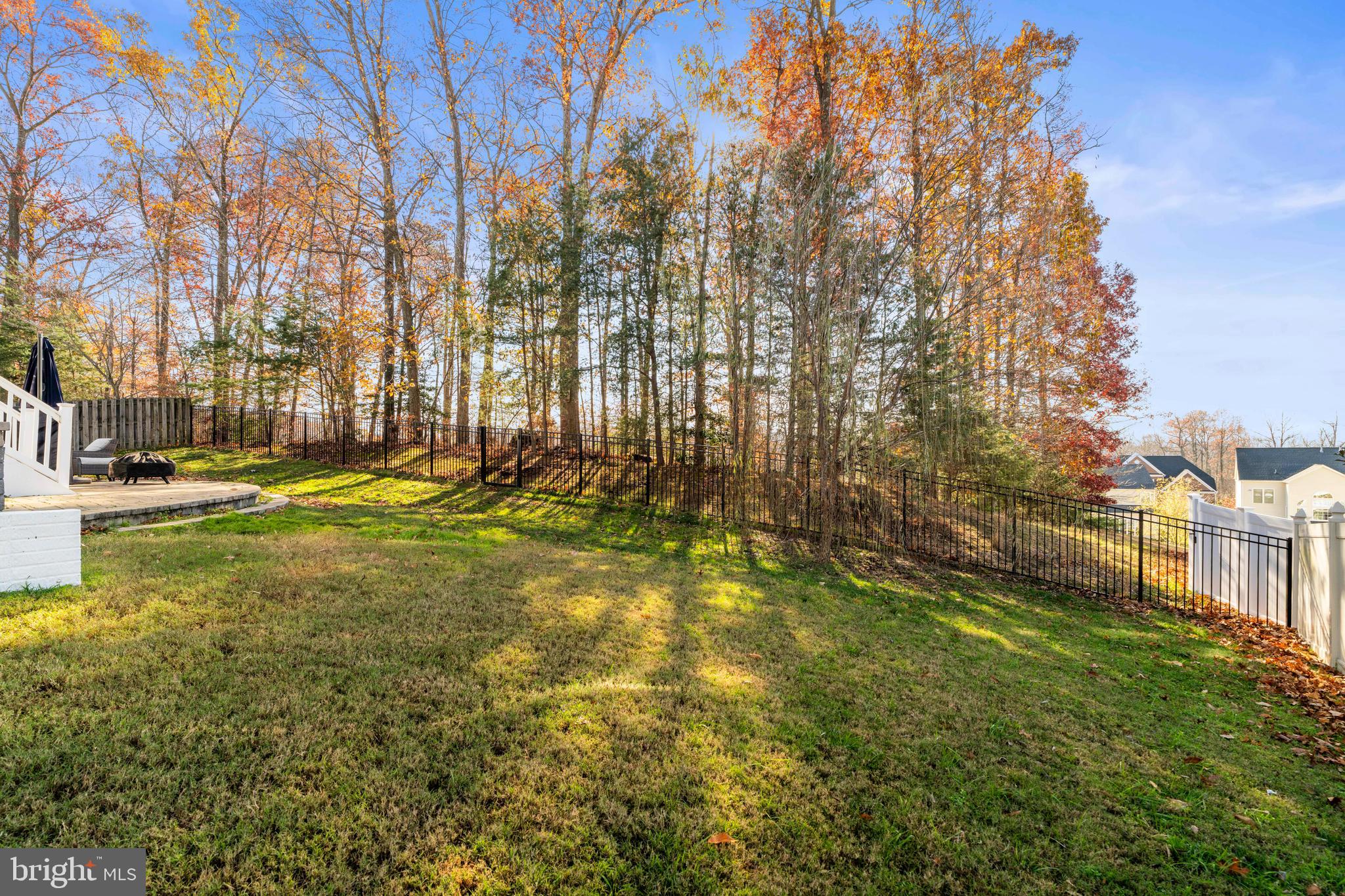 1578 Star Stella Drive Odenton, MD 21113 - Photo 10 of 14 Backyard view